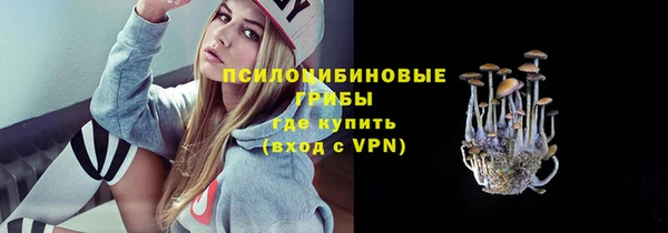 ешки Армянск