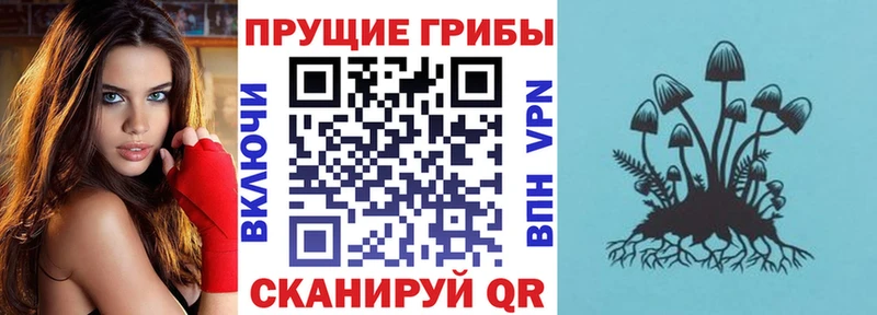 Галлюциногенные грибы Psilocybe  Саров 